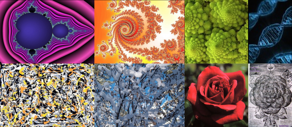 Examples of fractals