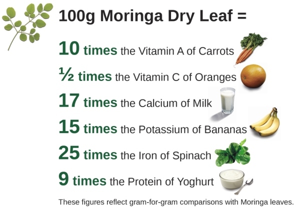 Moringa Tree Leaf Benefits