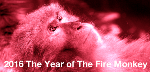 2016 the year of the fire monkey