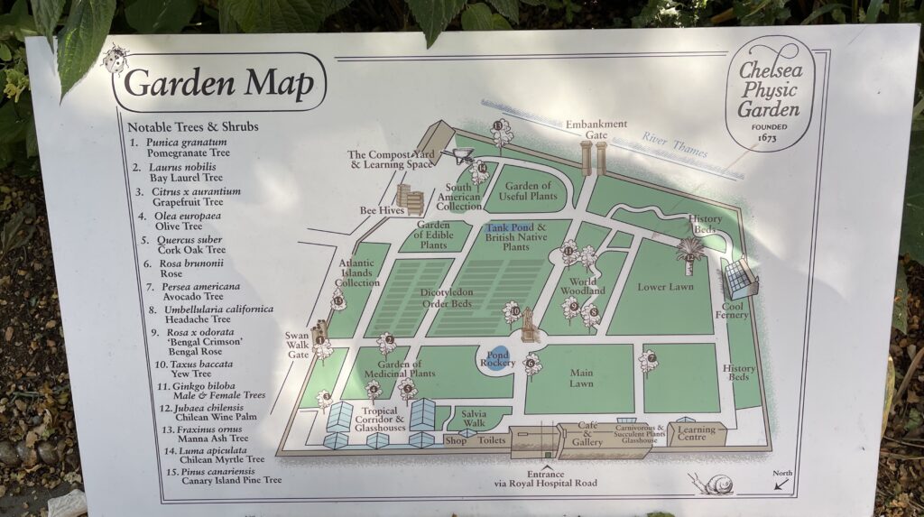 The Chelsea Physic Garden - Map
