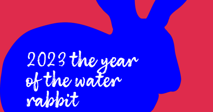 2023 year of water rabbit
